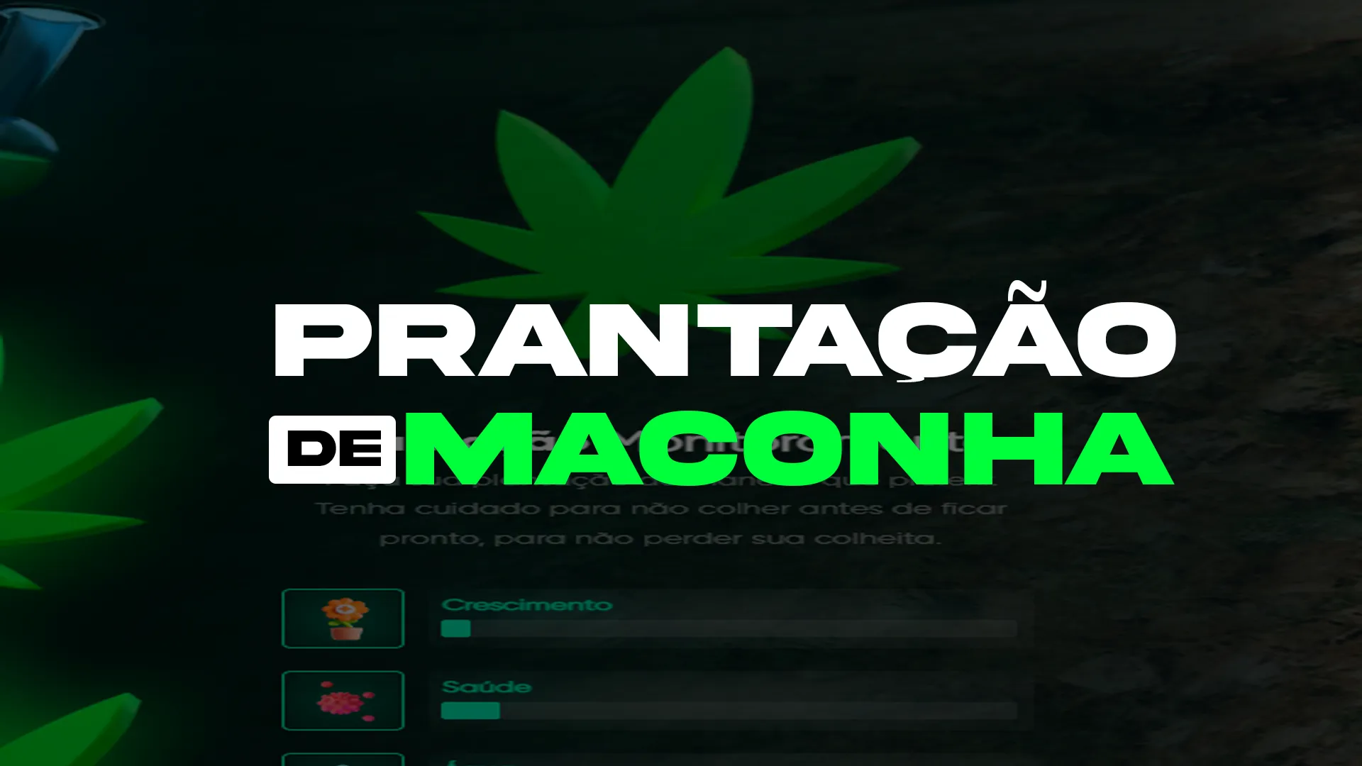 Plantação de Maconha