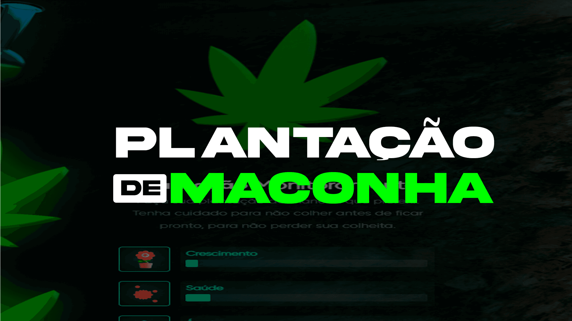 Plantação de Maconha